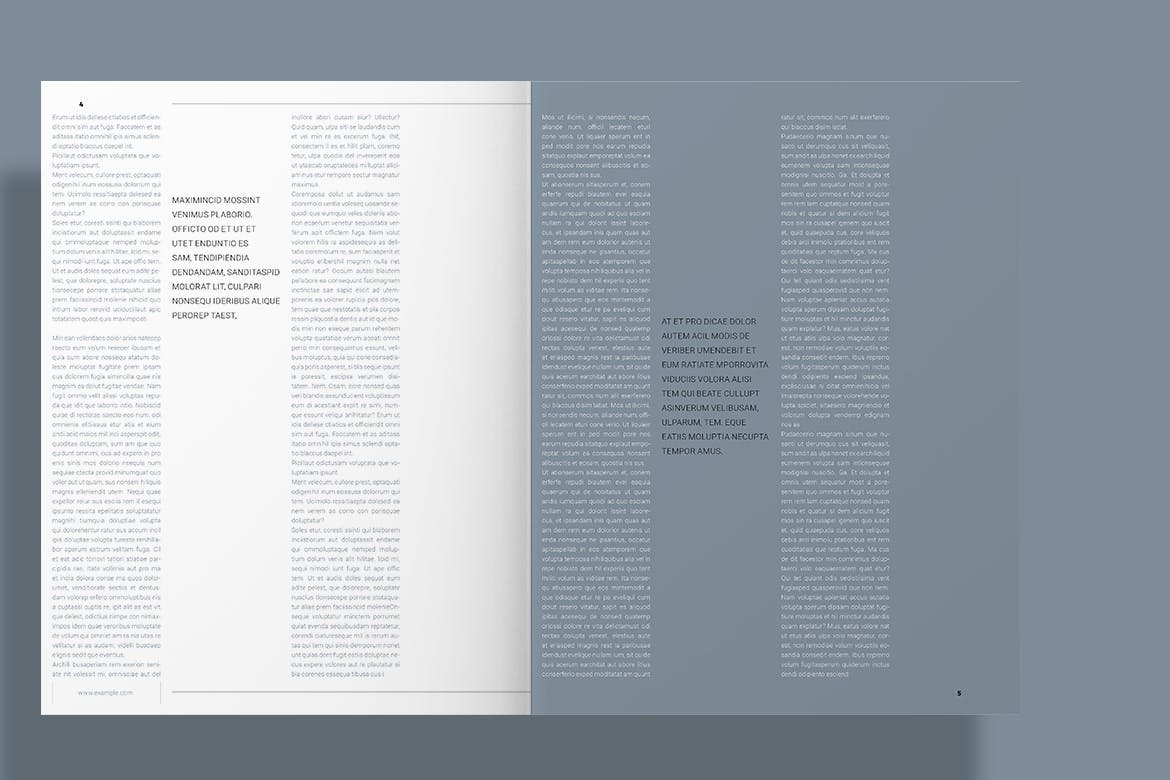 时尚/设计/艺术/摄影多用途画册设计模板 Gray Brochure插图(3)