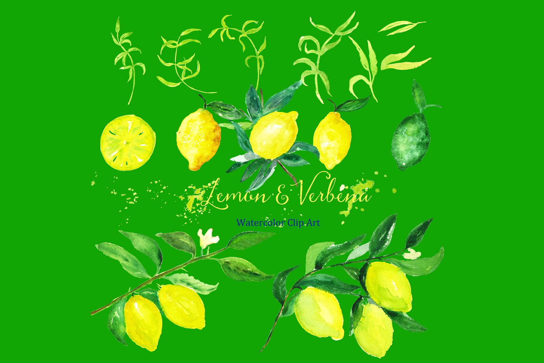 浪漫温柔的水彩柠檬马鞭草元素 Lemon & verbena. watercolors插图(3)