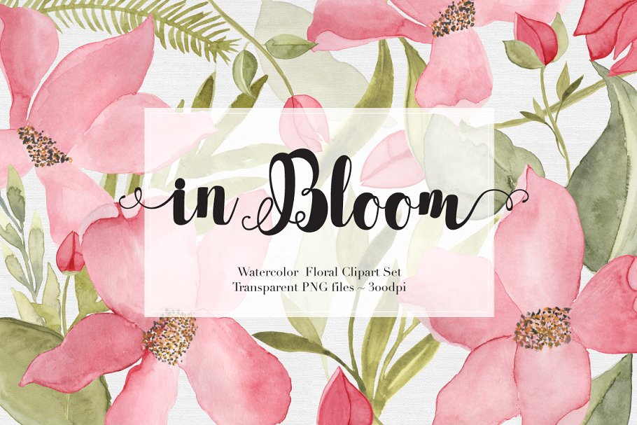 22款独特的手绘水彩花卉剪贴画 Watercolor Flowers Clipart Set插图