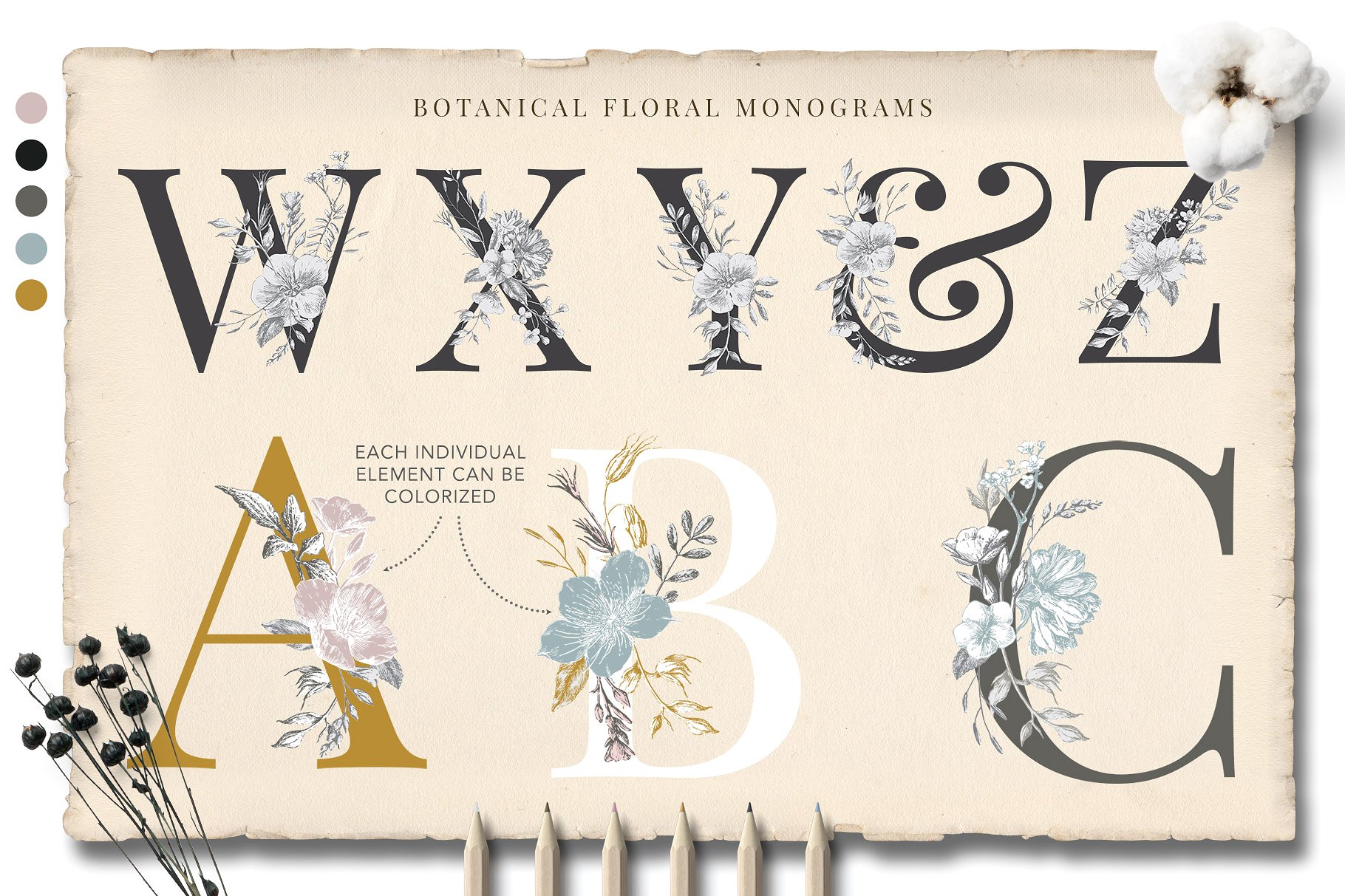植物与字母的奇思妙想插画 Botanical Curiosities Monograms插图