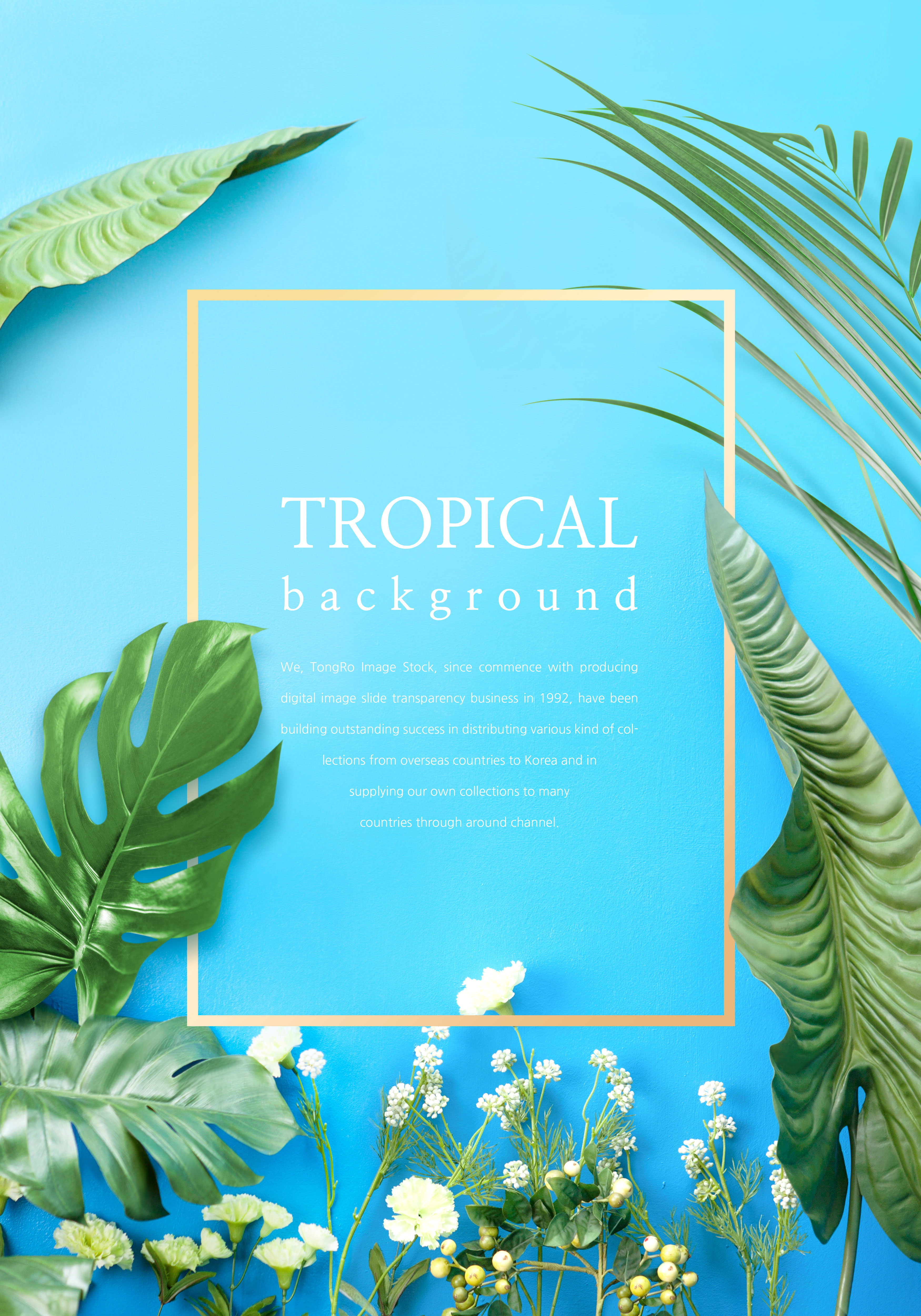 热带主题叶子花卉背景图片设计素材插图