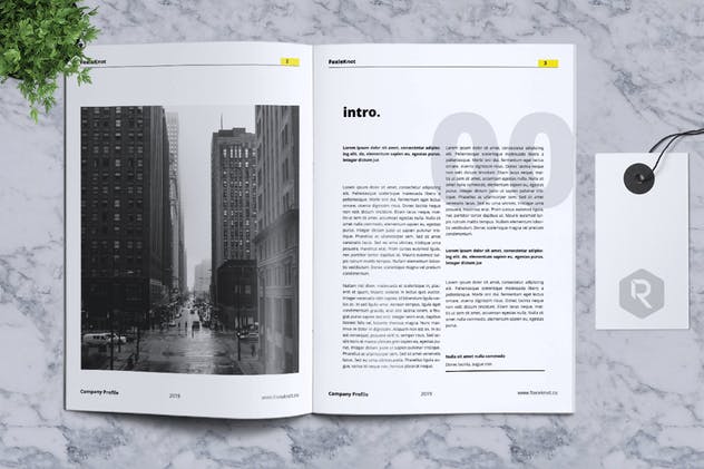 24页公司简介宣传册画册设计模板 FOXIEKNOT – Company Profile Brochure插图(2)