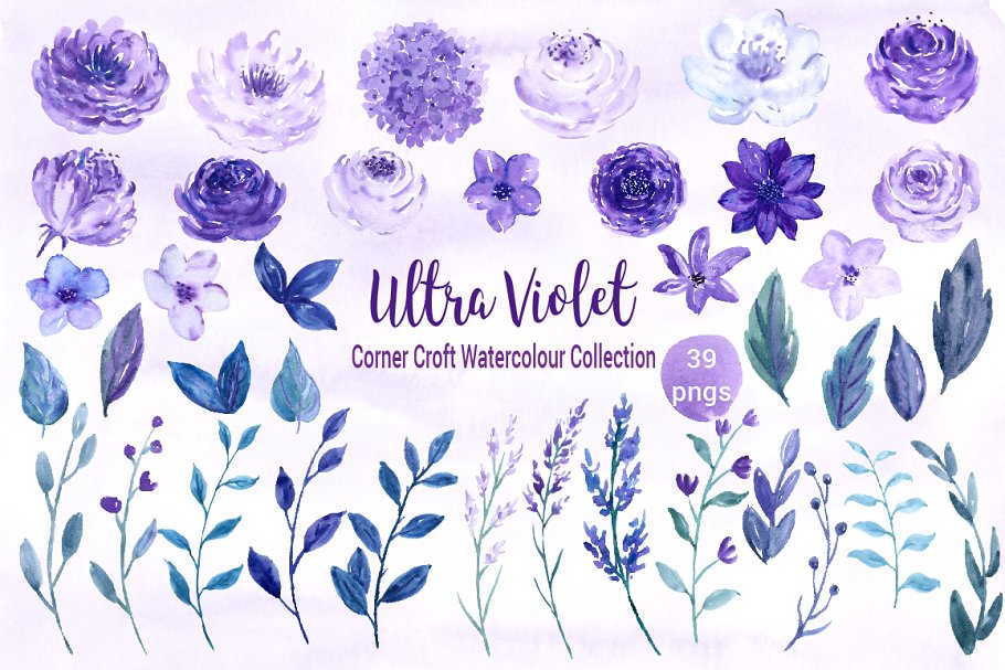 水彩紫罗兰花卉插画合集 Watercolor Ultra Violet Collection插图(3)