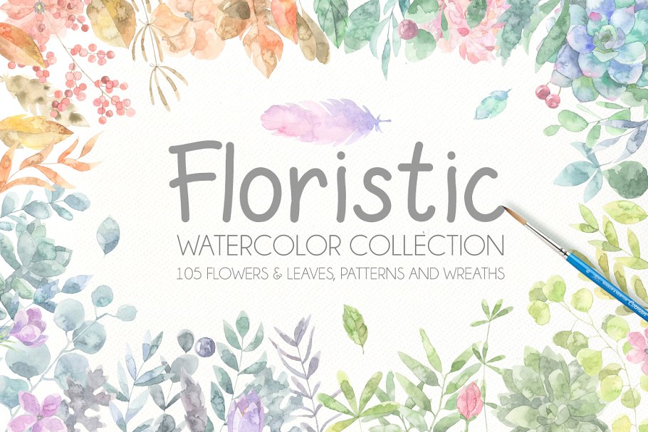 水彩植物插画合集 Floristic Watercolor Collection Pro插图