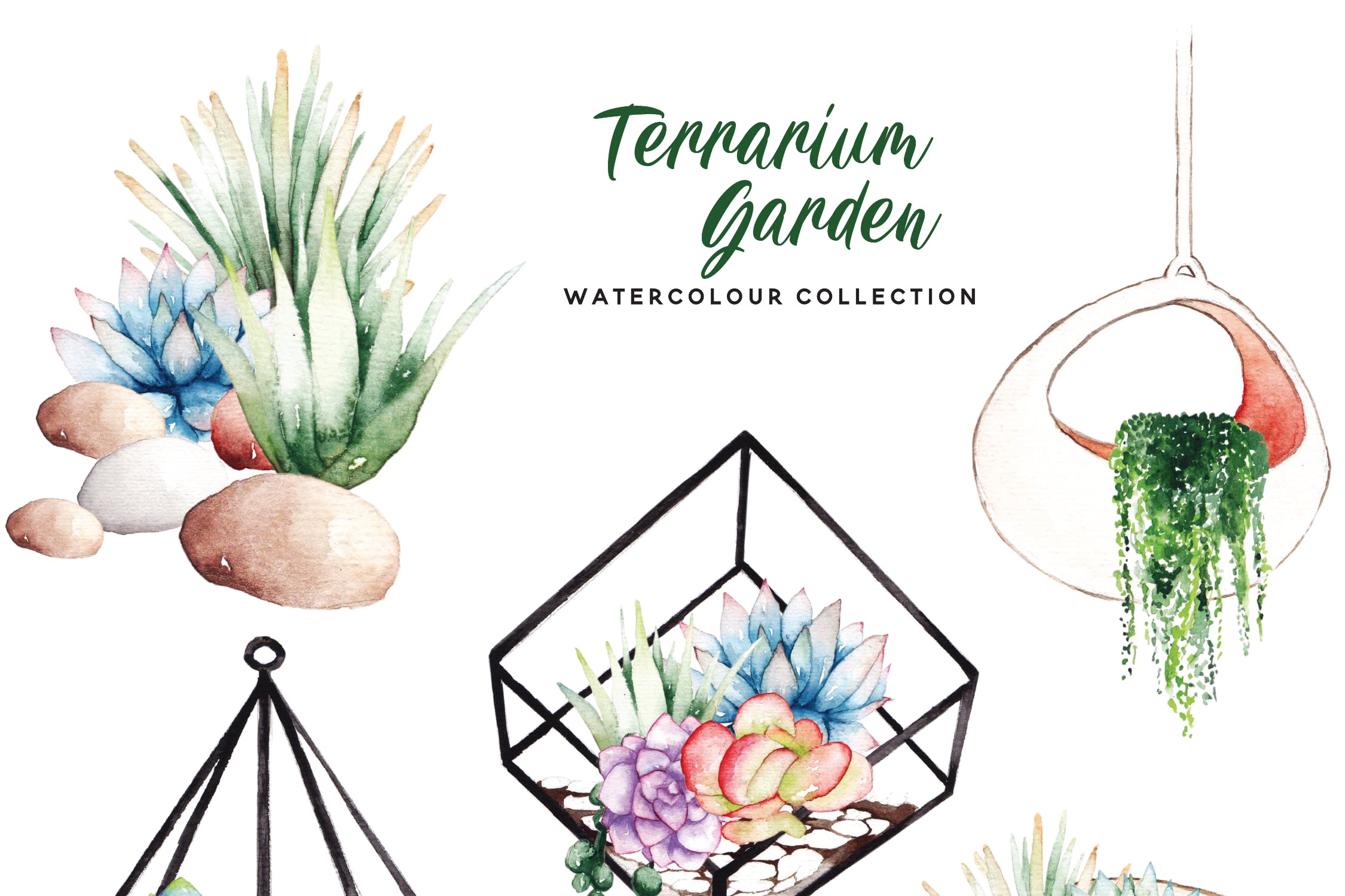 多肉植物水彩手绘图案PNG图片素材 Succulent Terrarium Watercolor插图(4)