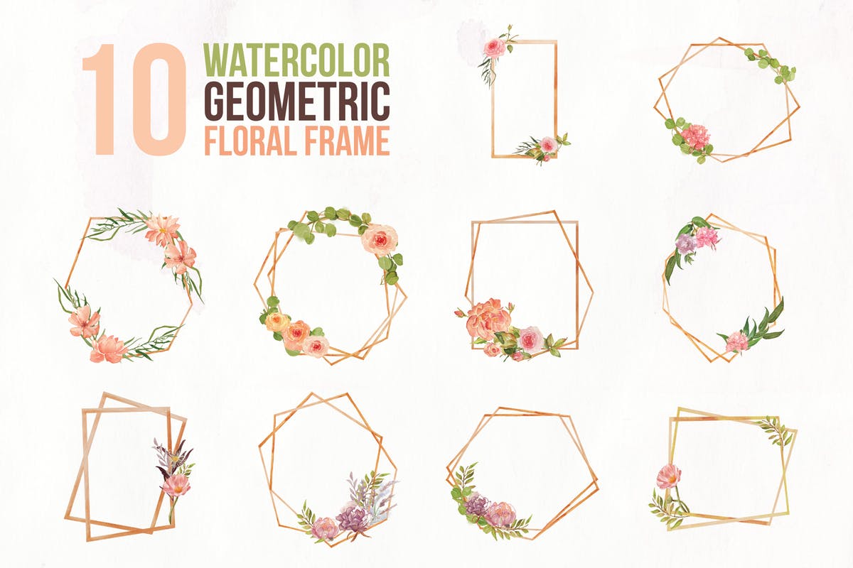 10个几何水彩花卉框架插图 10 Watercolor Geometric Floral Frame Illustration插图