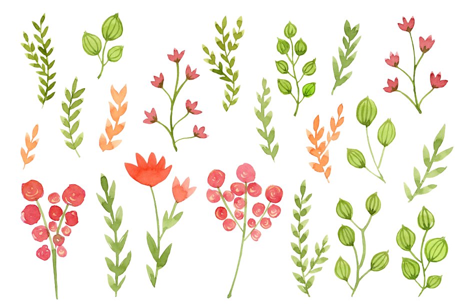 水彩花卉花环剪贴画 Watercolor Flowers, Floral插图(1)