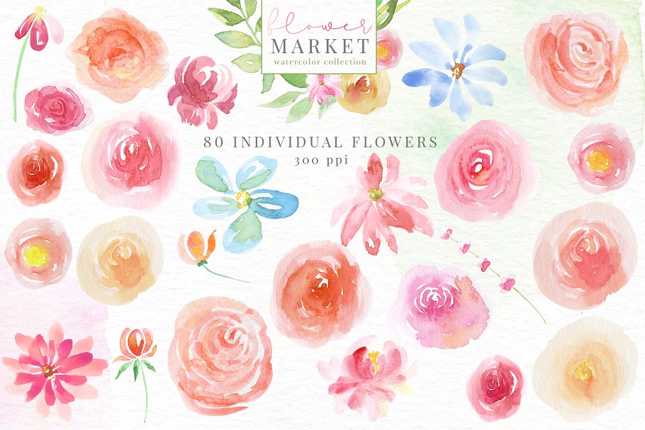 花卉市场水彩素材收藏[1.15GB] Flower Market Watercolor Collection插图(13)