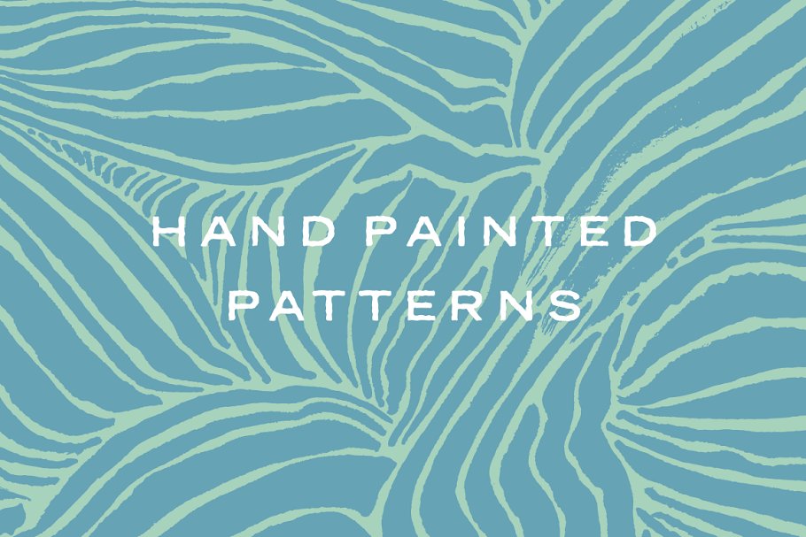 矢量手绘纹理/图案集合  Vector Hand Painted Patterns插图