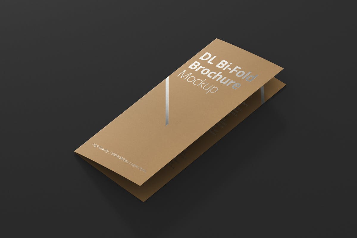 对折折页宣传小册样机 DL Bi-Fold Brochure Mock-Up插图