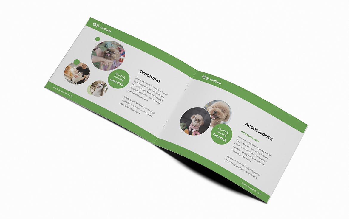 宠物店/宠物医院A5宣传册设计模板 Pet Shop A5 Brochure Template插图(5)