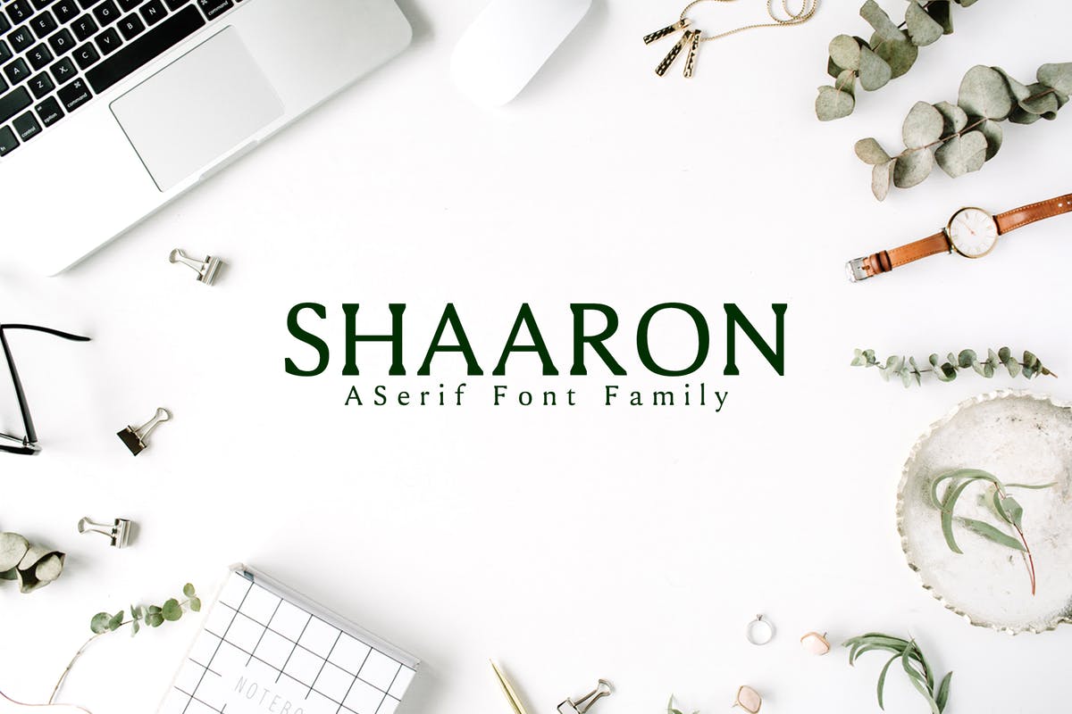 极简优雅风格衬线字体家族 Shaaron A New Serif Font Family插图