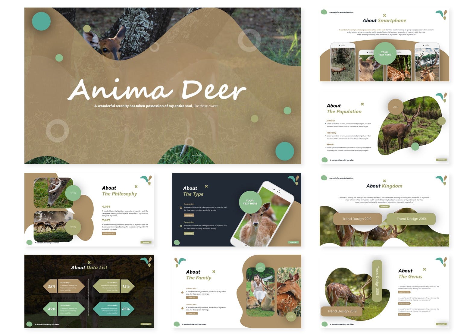 动物研究可爱风格儿童主题Keynote幻灯片模板 Anima Deer | Keynote Template插图(1)