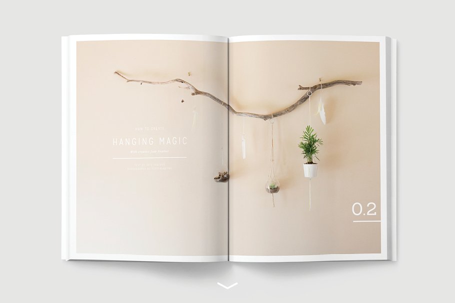 盆栽植物主题杂志模板 NATURALIS Lookbook / Magazine插图(2)