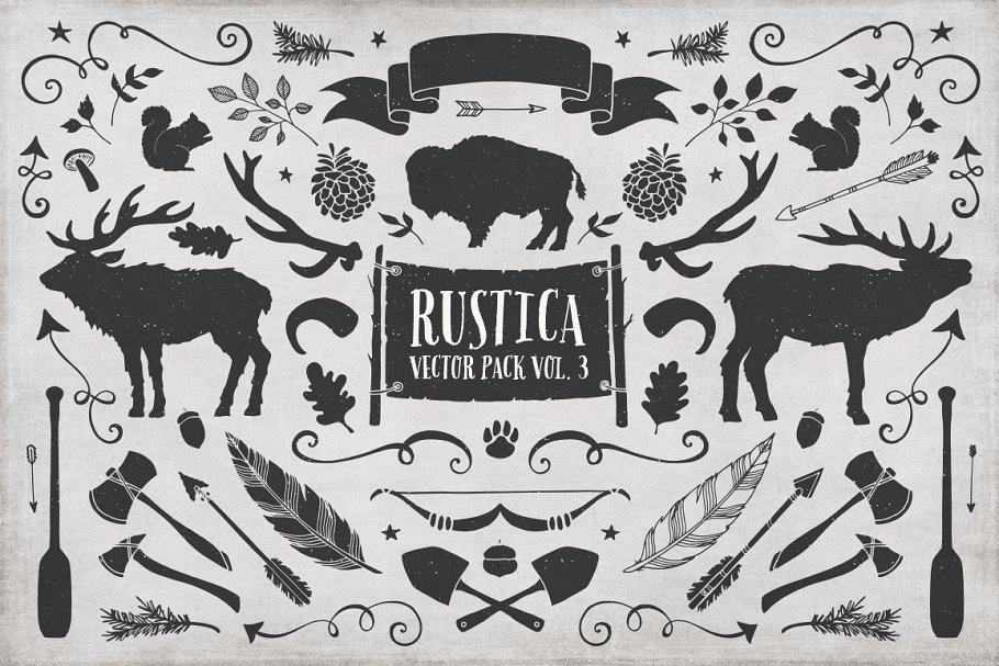 西方乡村元素+字体笔刷 Rustica Vol. 3 + Birch Brush Font插图(1)