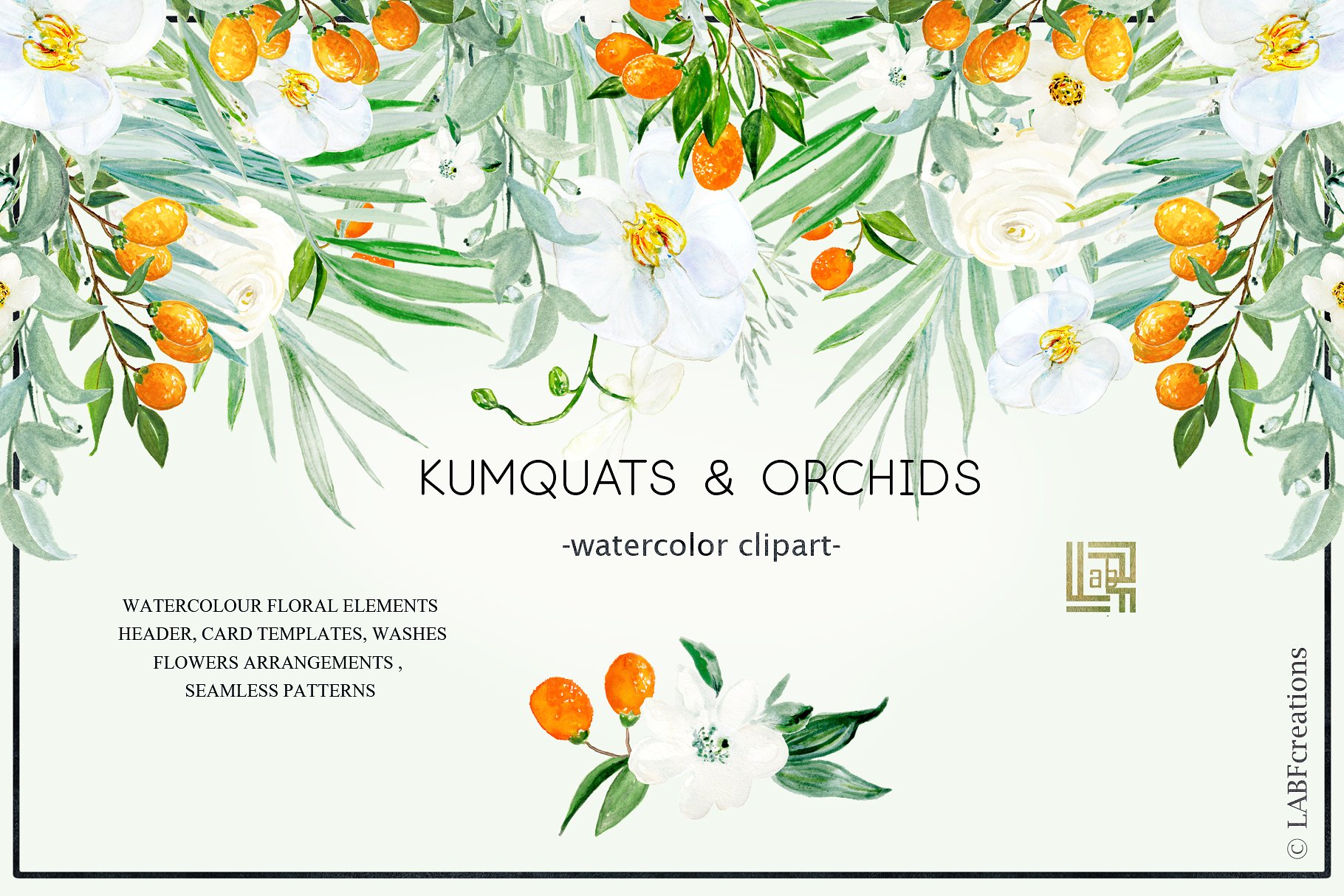 金橘和白色兰花手绘水彩画素材 Kumquat & white orchids. Watercolors插图(1)