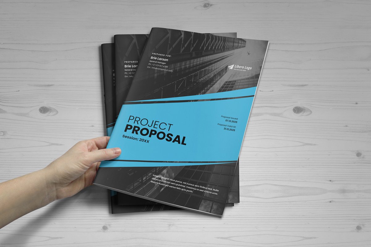 商业项目业务提案手册设计模板插图(7)