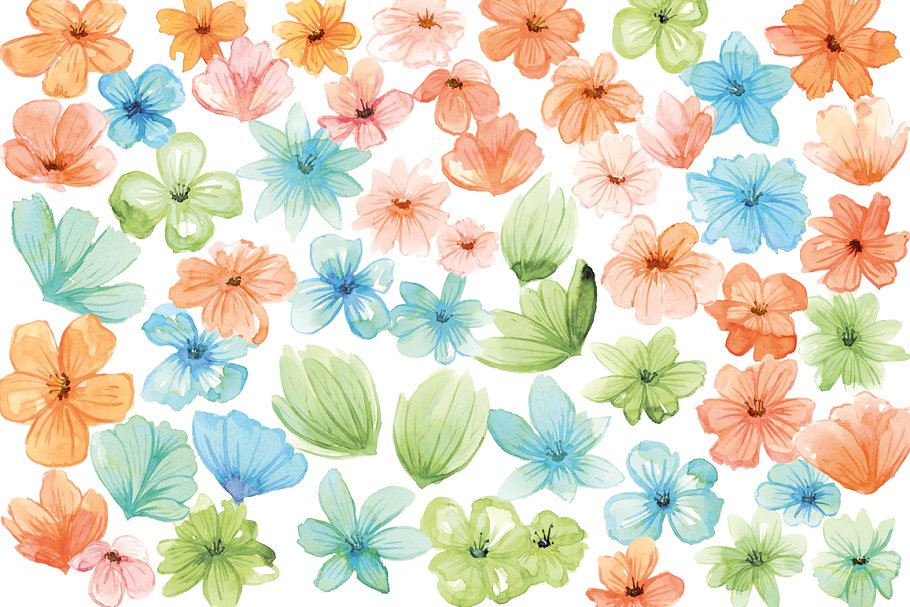 浅色调水彩花卉插画素材 Watercolor Flowers, Floral插图(1)