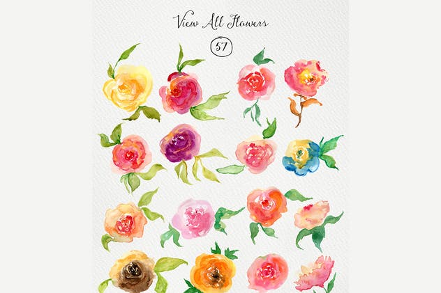 浪漫玫瑰水彩插图素材 Watercolor Roses插图(1)