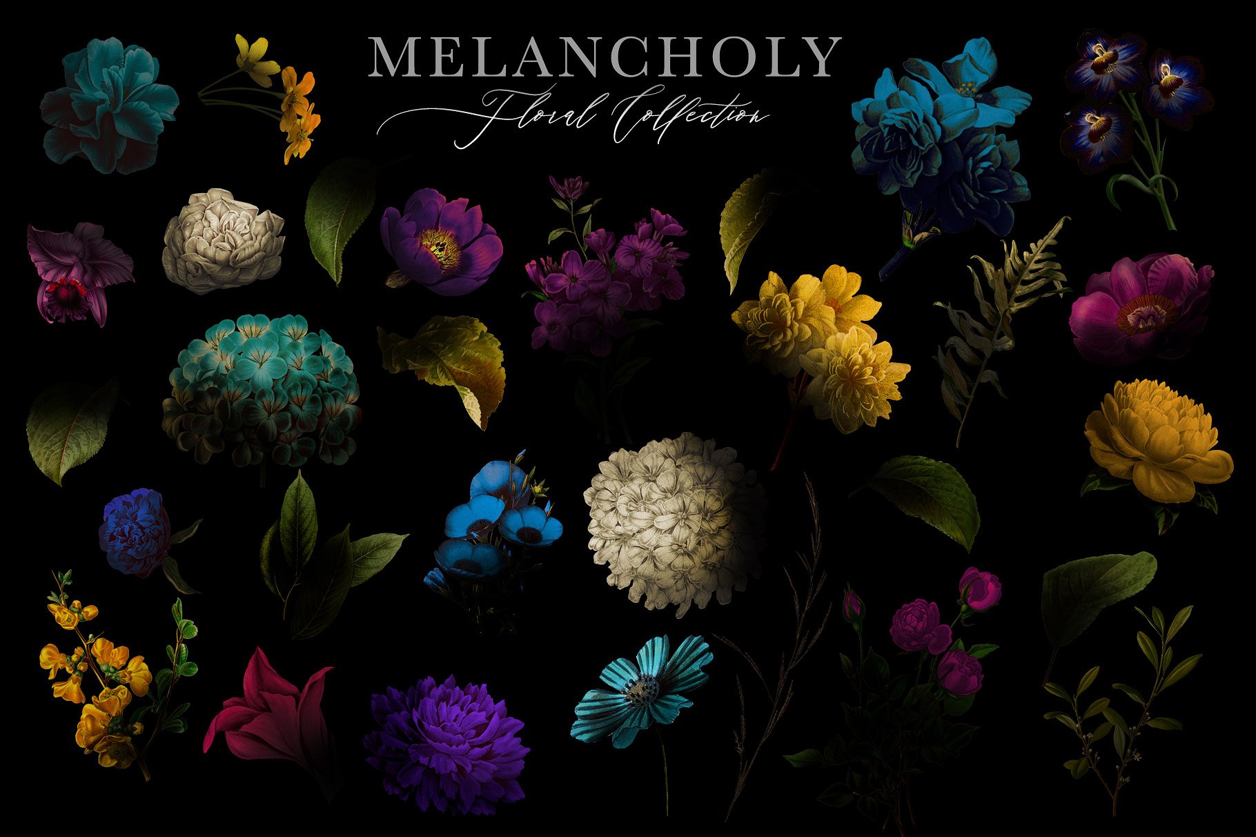 忧郁格调花卉插画合集 Melancholy Floral Collection插图(3)