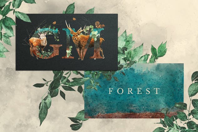 奇幻森林元素手绘插画元素合集 Forest Illustrations Graphics Kit插图(10)