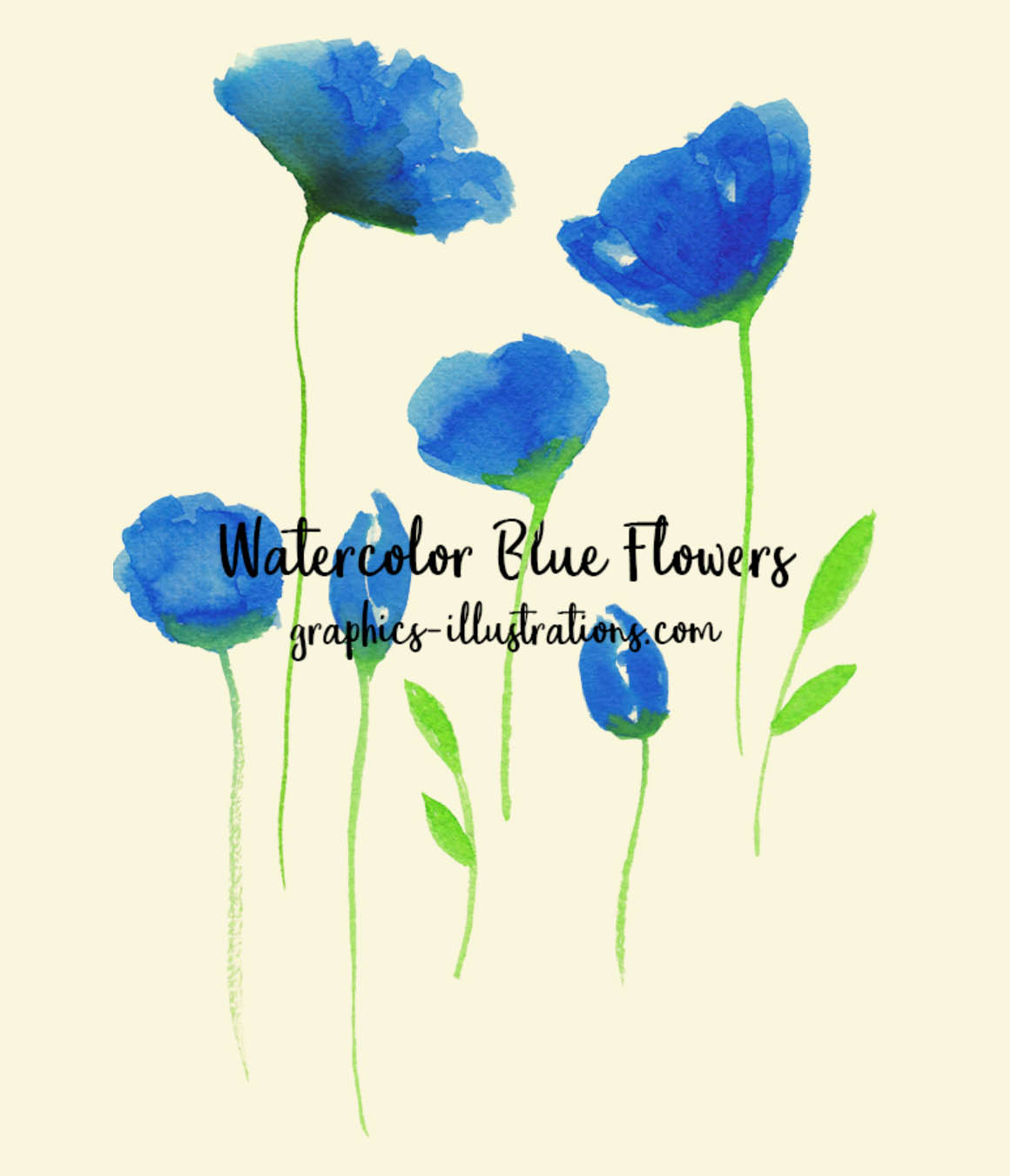 水彩花朵插画 Free Watercolor Blue Flowers