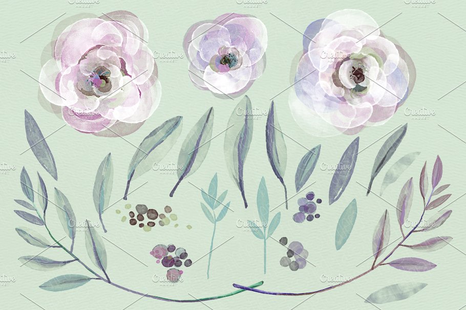 紫色玫瑰和树叶水彩剪贴画 Watercolor purple roses and leaves插图(1)