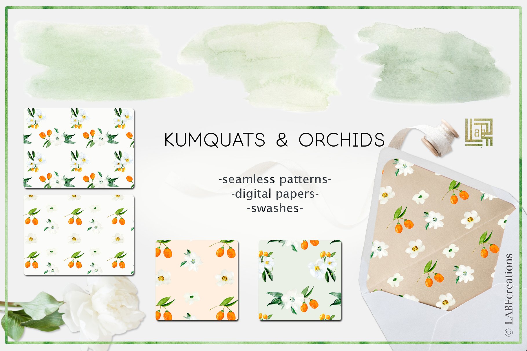 金橘和白色兰花手绘水彩画素材 Kumquat & white orchids. Watercolors插图(5)