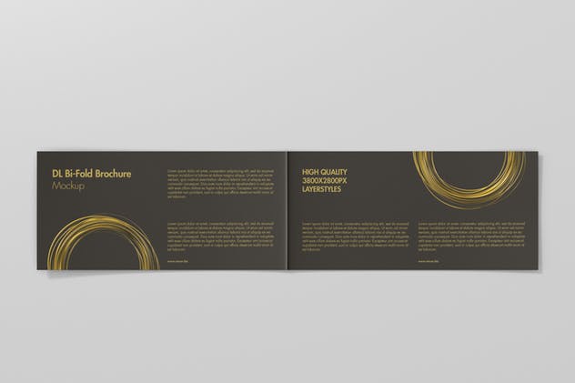 两折页对折页小册子样机 DL Bi-Fold Brochure Mock-Up插图(10)