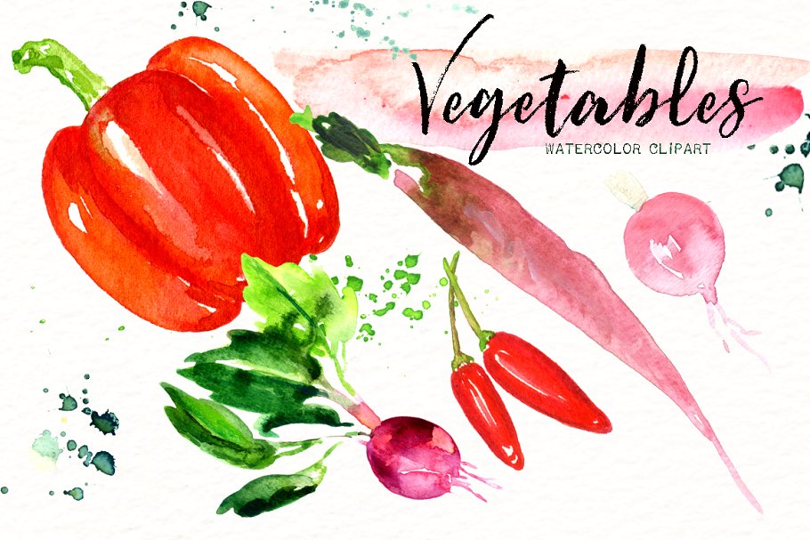 素材素食水彩剪贴画 Vegetables. Vegan Watercolor clipart插图(4)