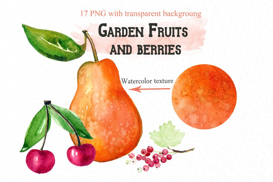 水果&浆果水彩剪贴画 Fruits & berries watercolors插图