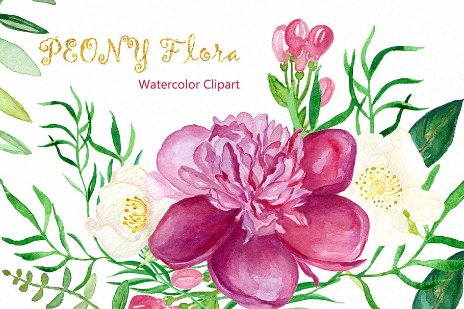 牡丹花丛水彩花卉剪贴画 Peony flora watercolor flowers插图(3)