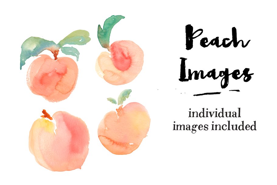 水彩桃子元素&纹理素材 Watercolor Peach Patterns + Peaches插图(2)