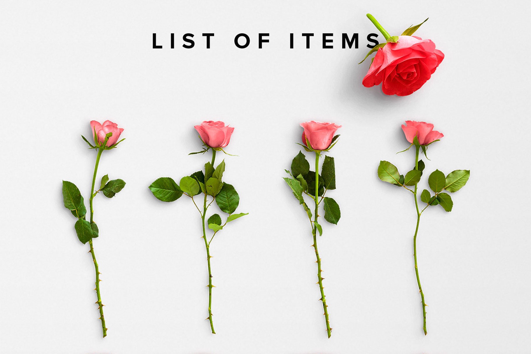 真实玫瑰花语场景设计素材包 Floral Roses Collection – CS插图(2)