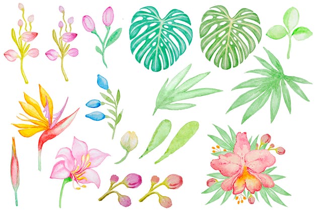 热带主题手绘水彩图案合集 Watercolor Tropical Kit插图(2)