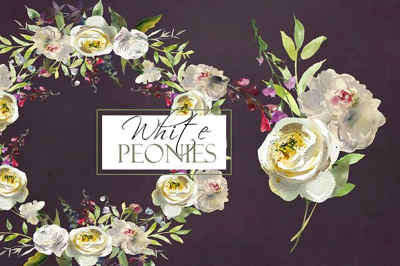 白色水彩花卉剪贴画 Watercolor White Flowers Clipart插图(10)
