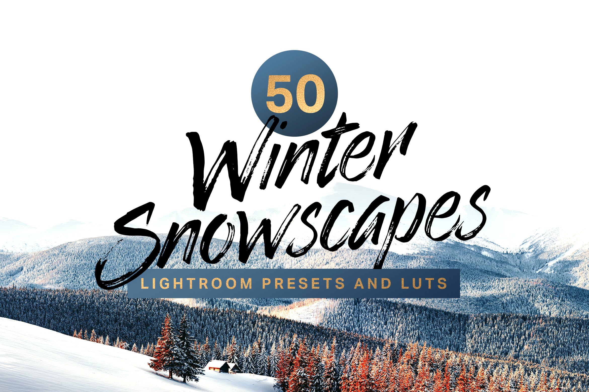 50款充满色彩的冬季风景照片LR调色预设合集 50 Winter Snowscape Lightroom Presets and LUTs插图