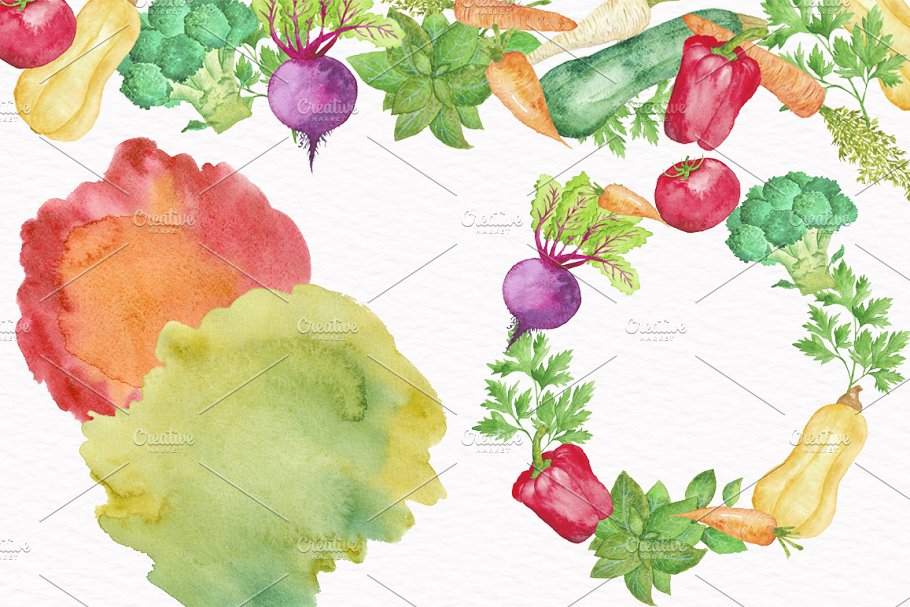 水彩蔬菜插画合集 Vegetable Watercolor Collection插图(4)