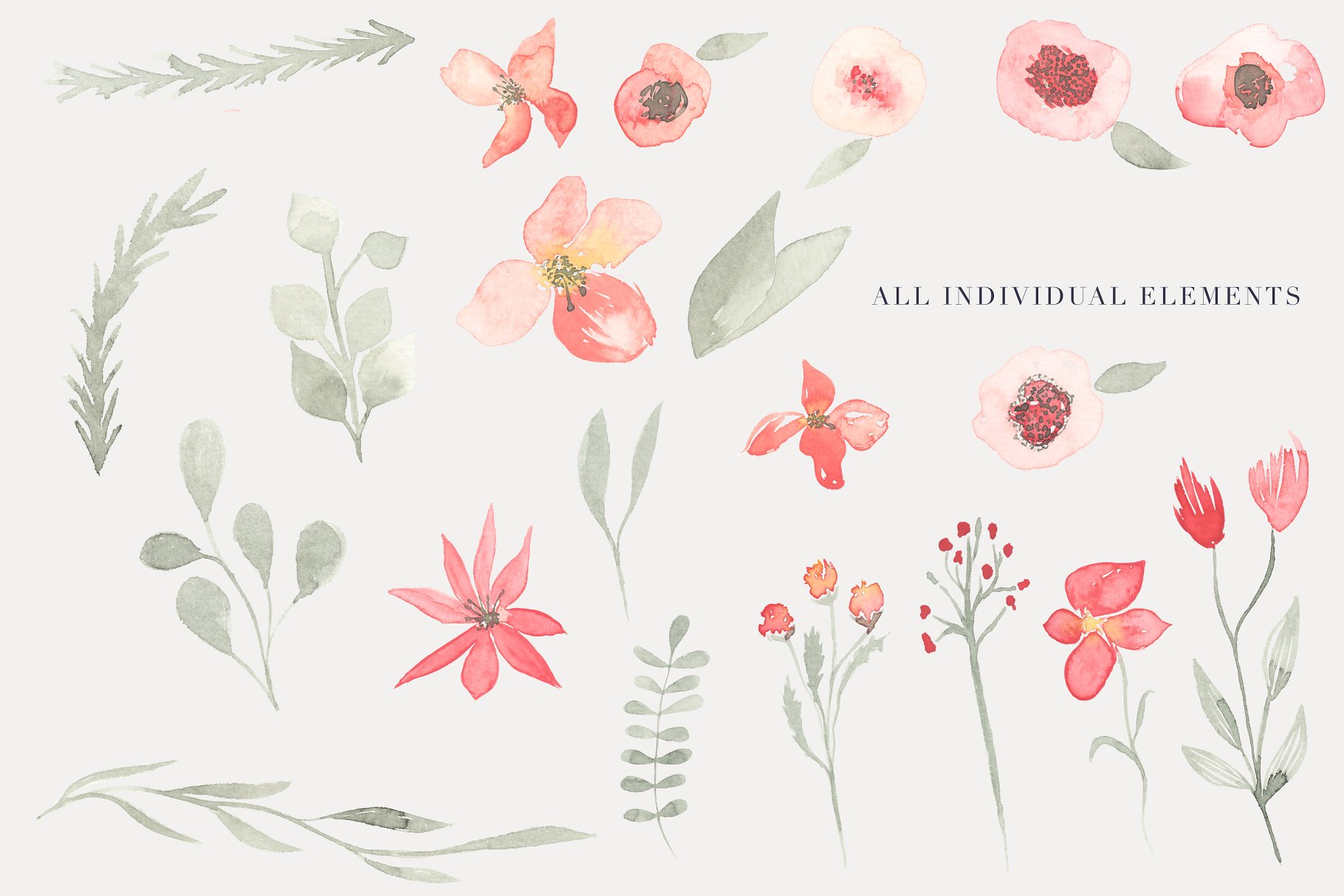 21款独特手绘花卉和树叶图形 Watercolor  Floral Clipart – Tango插图(1)