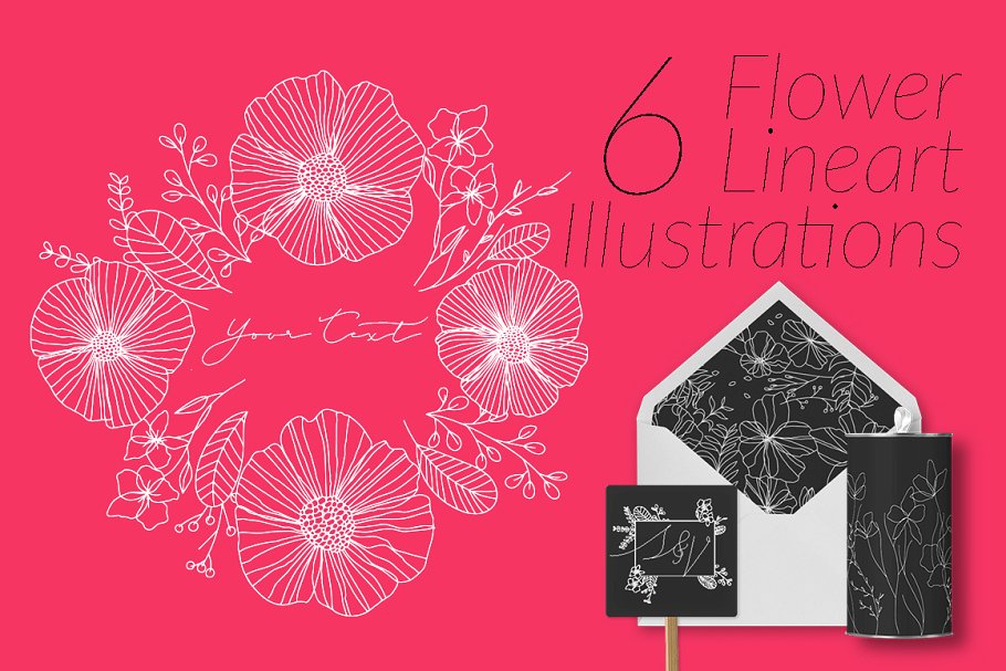 6个极简主义描线花卉插画 6 Flower Lineart Illustrations插图