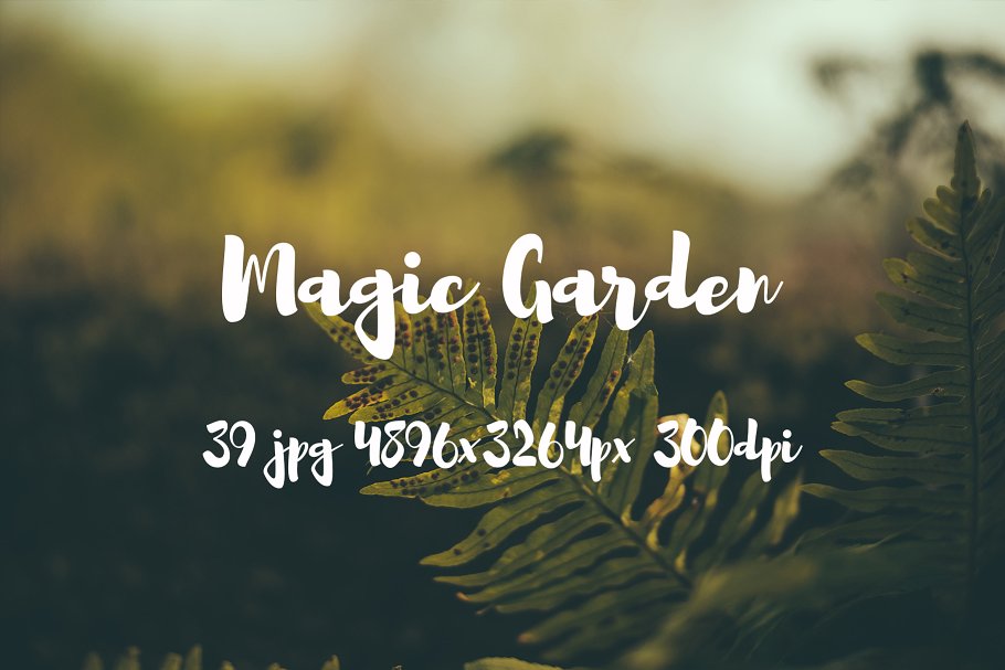 秘密花园花卉植物高清照片素材 Magic Garden photo pack插图(8)