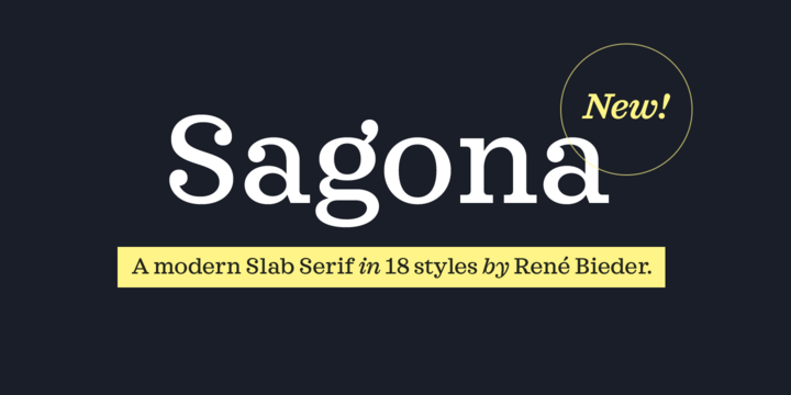 粗衬线英文印刷排版字体Sagona Font Family插图