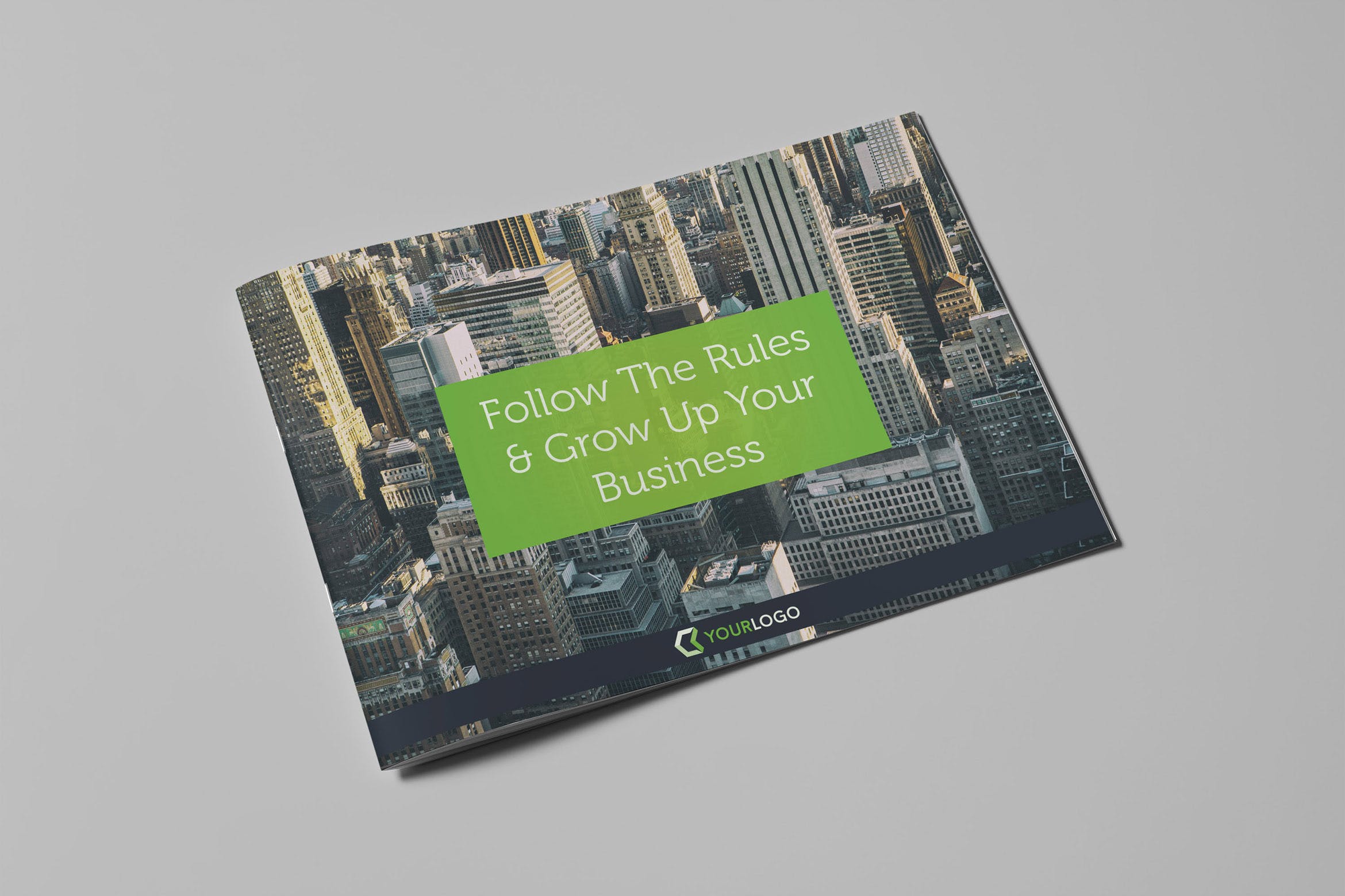 大型上市公司宣传画册设计模板 Corporate Business Landscape Brochure插图