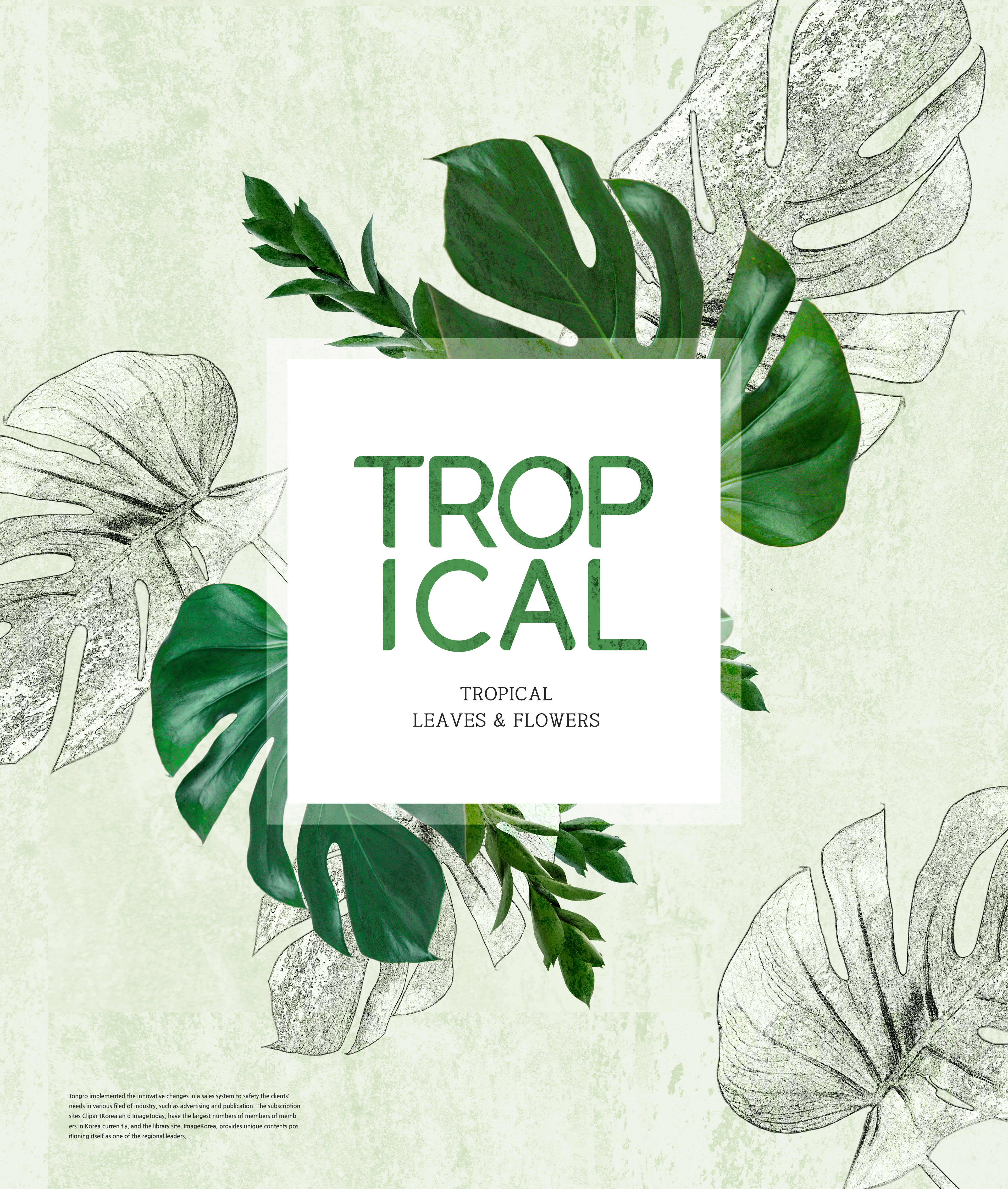 热带主题叶子&花卉图案海报设计素材插图(5)