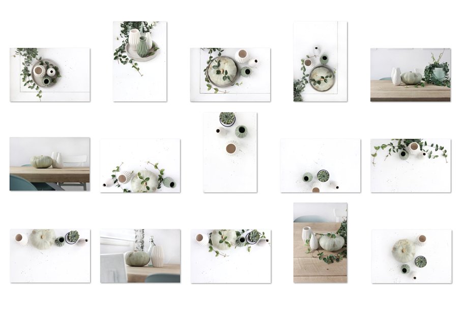 绿色盆栽植物纹理 Mint pumpkin, Styled stock photos插图(4)