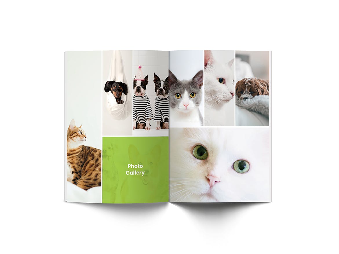 A4纸尺寸宠物医院/宠物店简介画册设计模板 Pet Shop A4 Brochure Template插图(12)