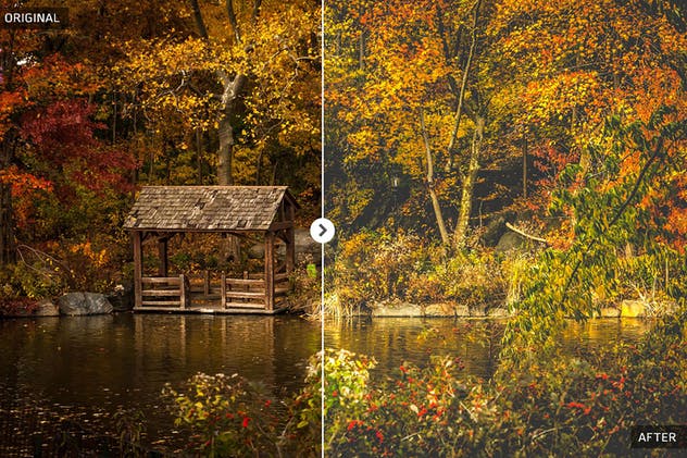 50款秋天氛围照片后期处理调色滤镜LR预设 50 Autumn Lightroom Presets插图(1)