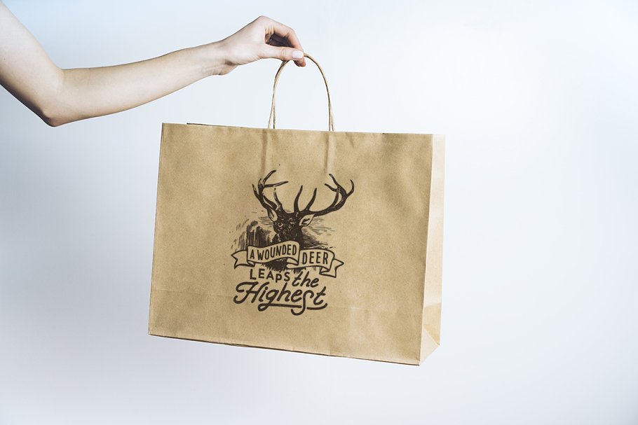 纸质购物袋样机模板 Shopping bag set插图(1)