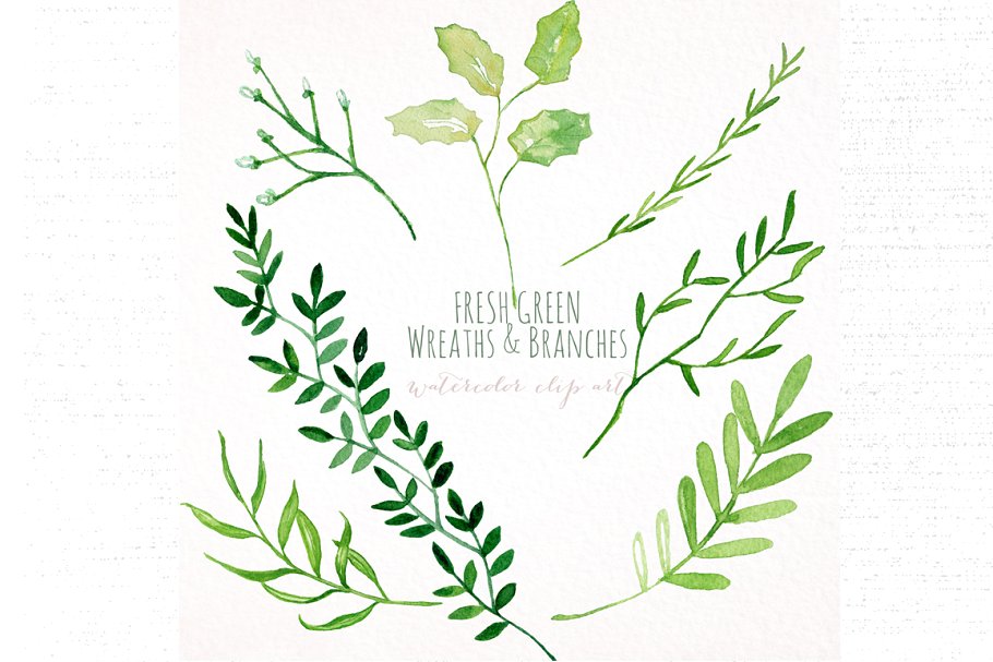新鲜淡绿色手绘树枝花环剪贴画合集 Fresh green branches & wreath插图(2)