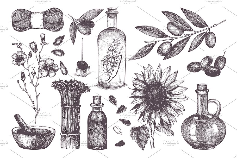 植物油相关设计素材包 Seed Oil Design Collection插图(1)